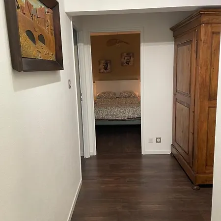 Colmar, Petite Venise, Avec Ascenseur * コルマール